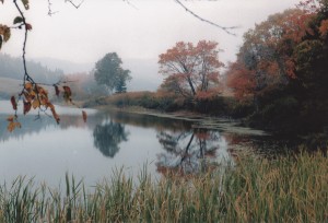 Jean Drapeau - Paysage Brumeux